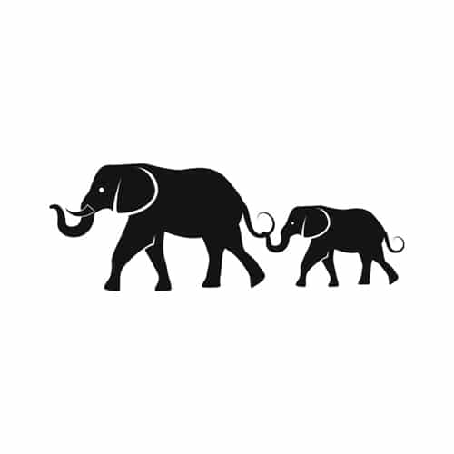 elefantt